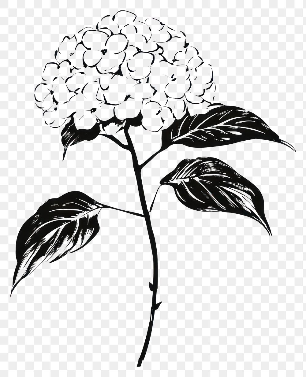 PNG Drawing sketch flower leaves.