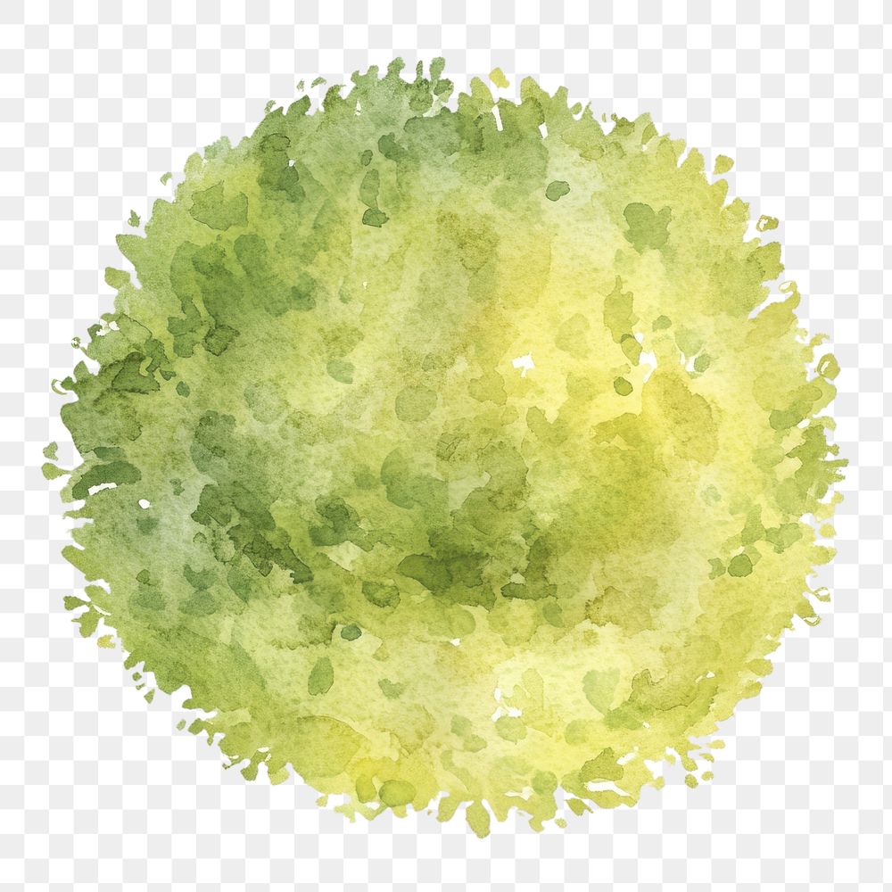 PNG Green tree illustration watercolor texture.