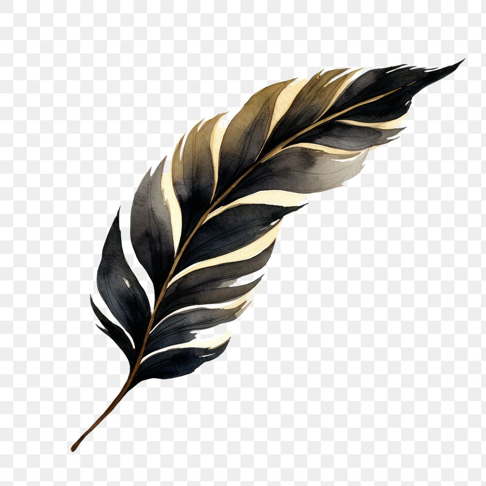 PNG Black color leaf plant | Free PNG - rawpixel