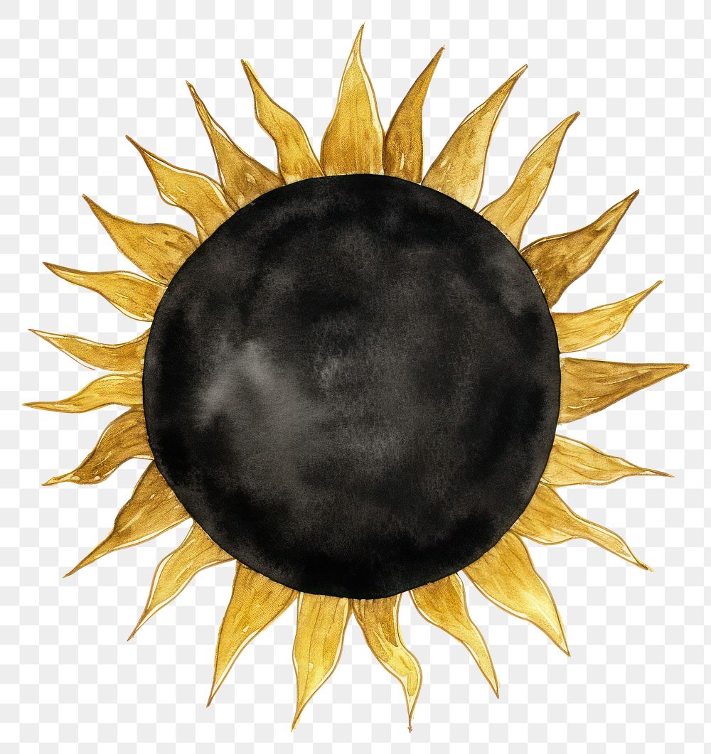 PNG Black color sun white background accessories sunflower.