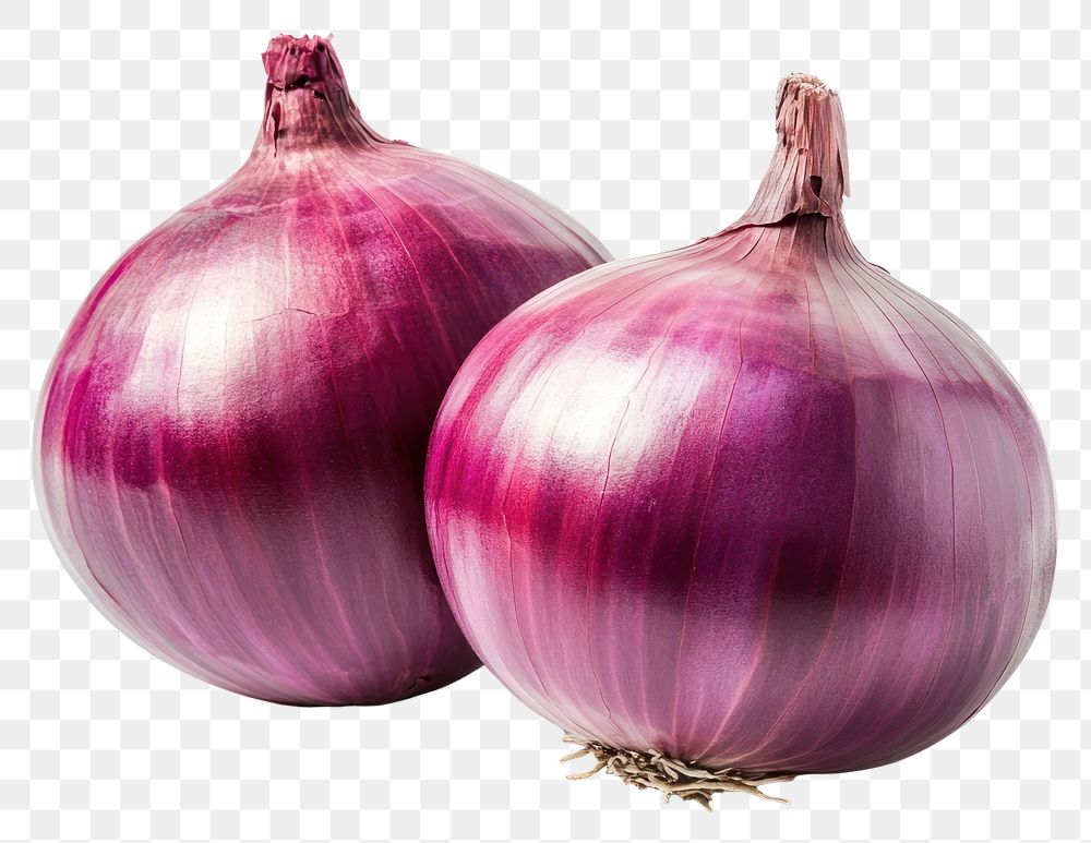 PNG Onions photography vegetable isolated.