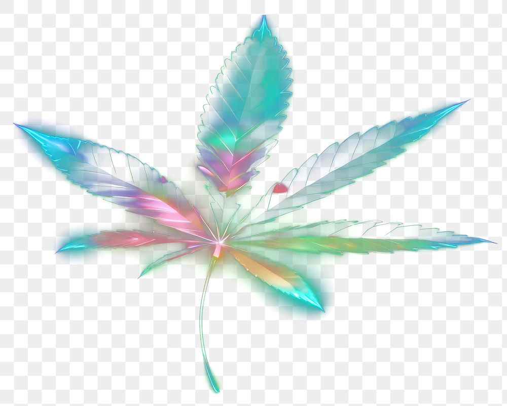 PNG Cannabis background leaf neon.