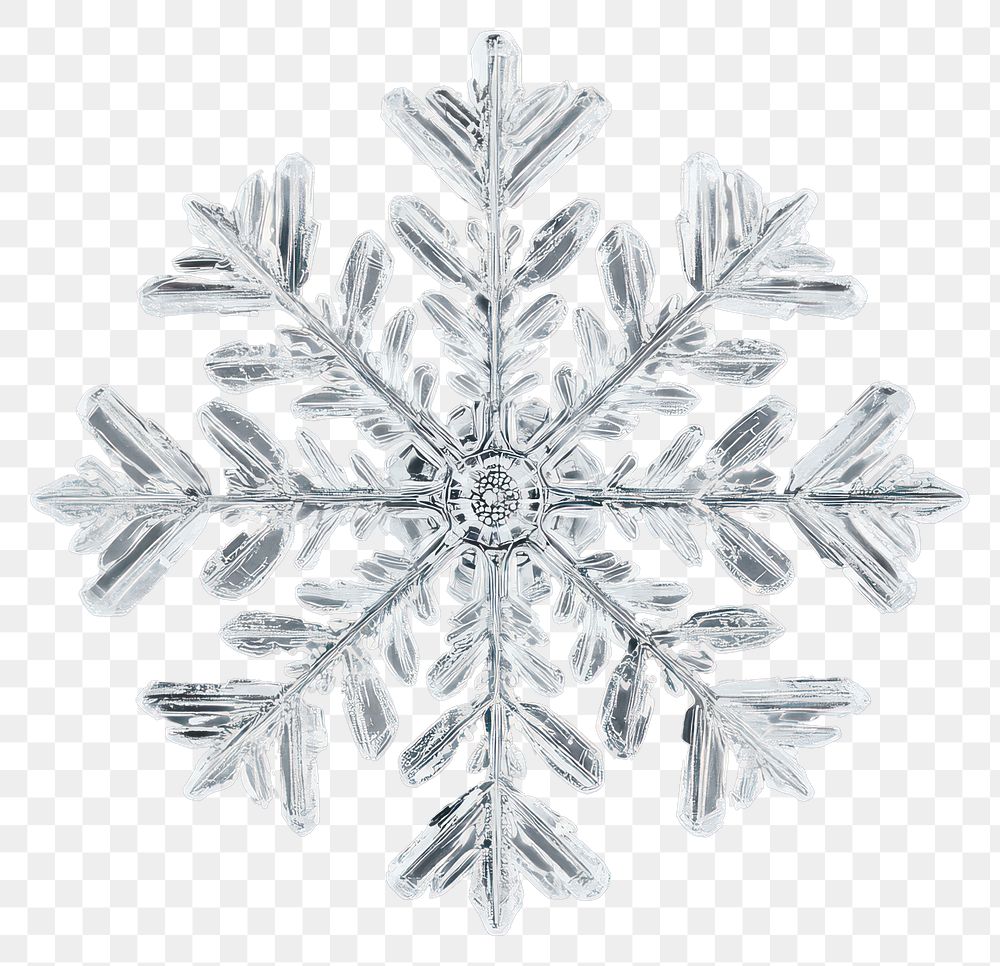 PNG A white snowflake background nature chandelier.