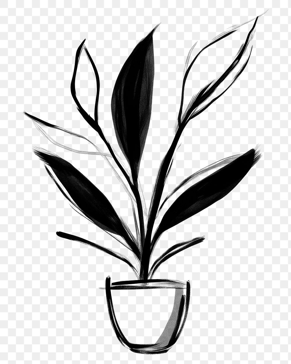 PNG Calla lilies sketch plant black.