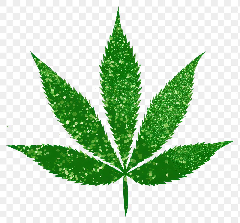 PNG Green Marijuana leaves icon plant herbs leaf.