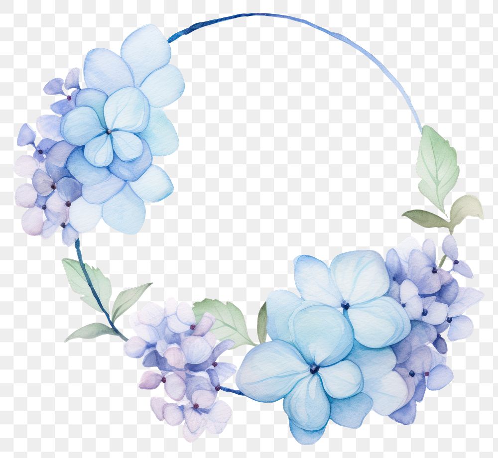 PNG Hydrangea border watercolor flower circle plant.