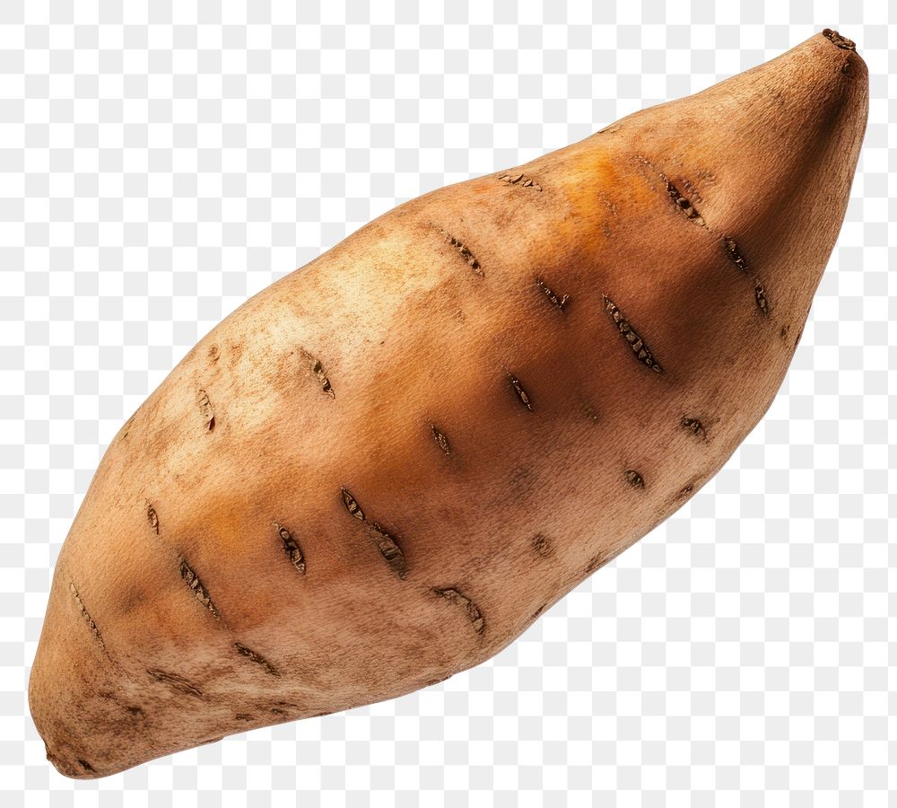 PNG Real sweet potato vegetable background isolated.