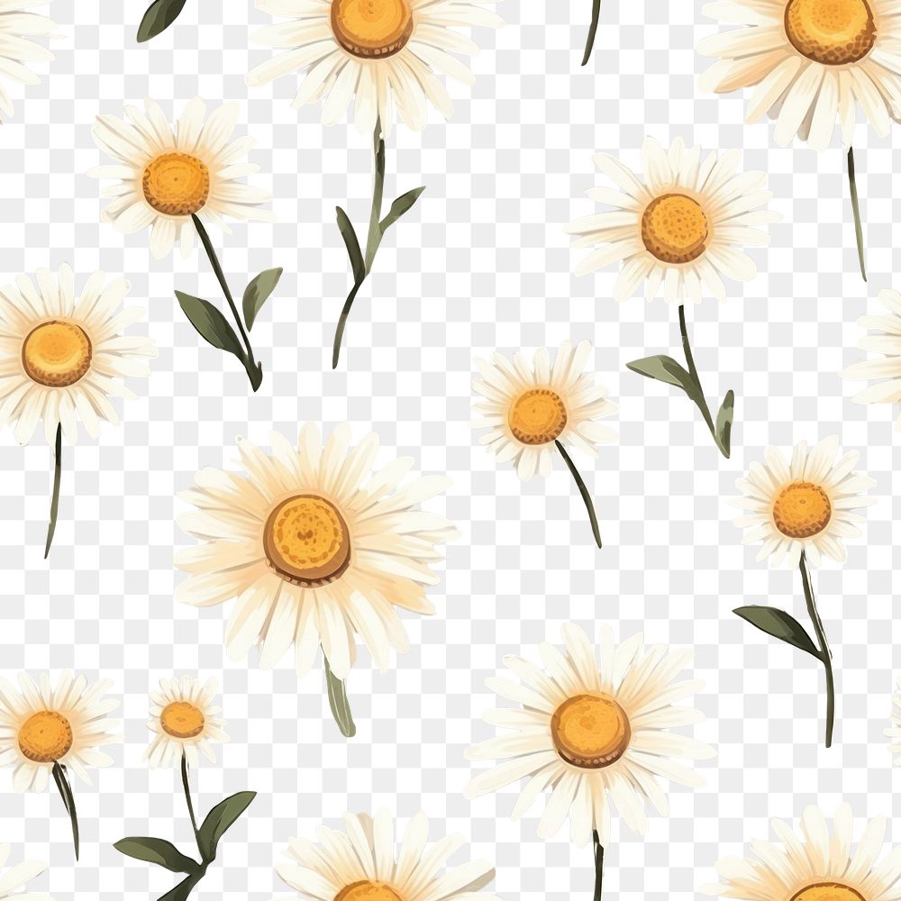 PNG Daisy backgrounds pattern. 