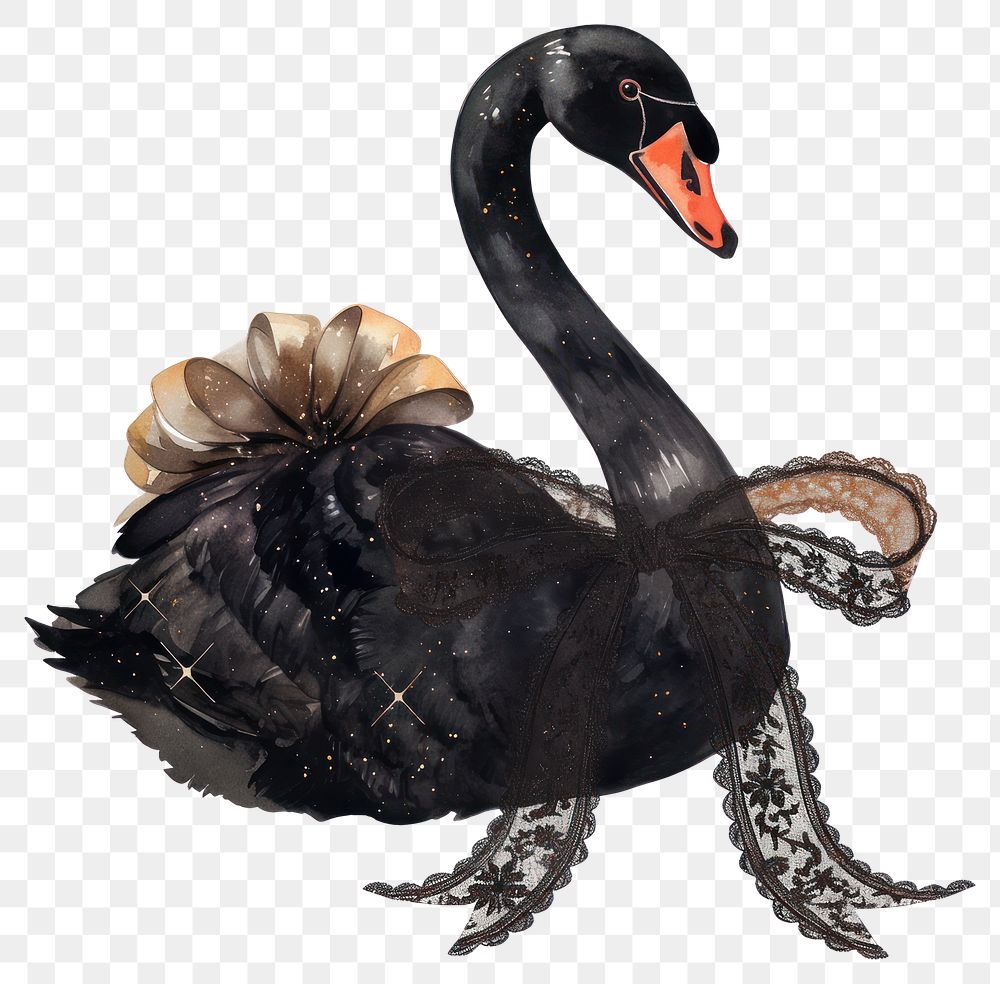 PNG Black swan illustration watercolor bird.