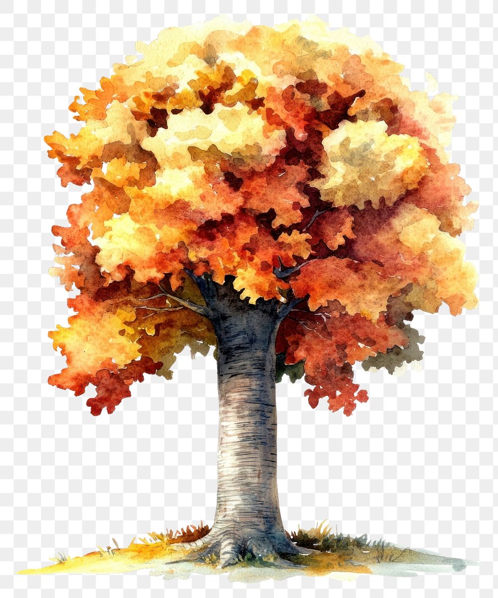 Autumn Tree Trunk Printable