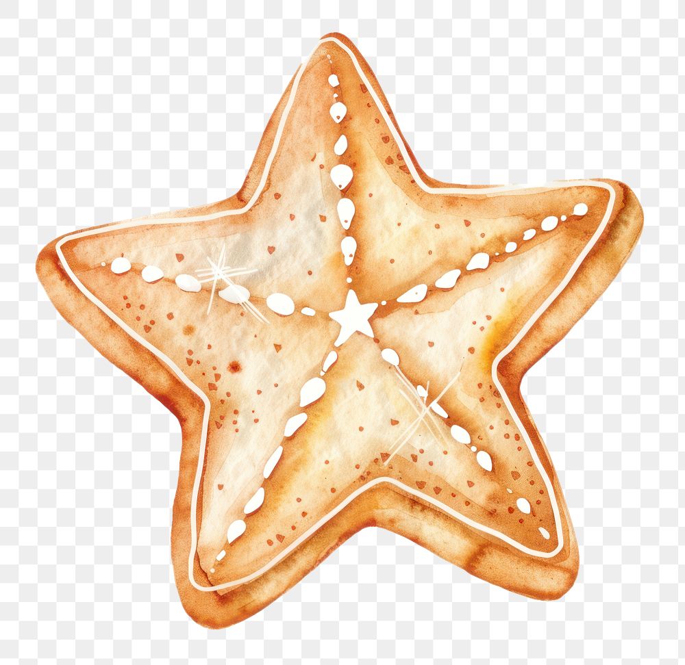 PNG Christmas Star Cookie illustration watercolor art.