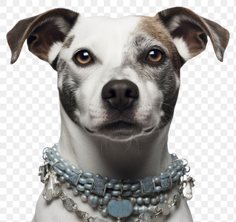 PNG Necklace dog portrait jewelry. 