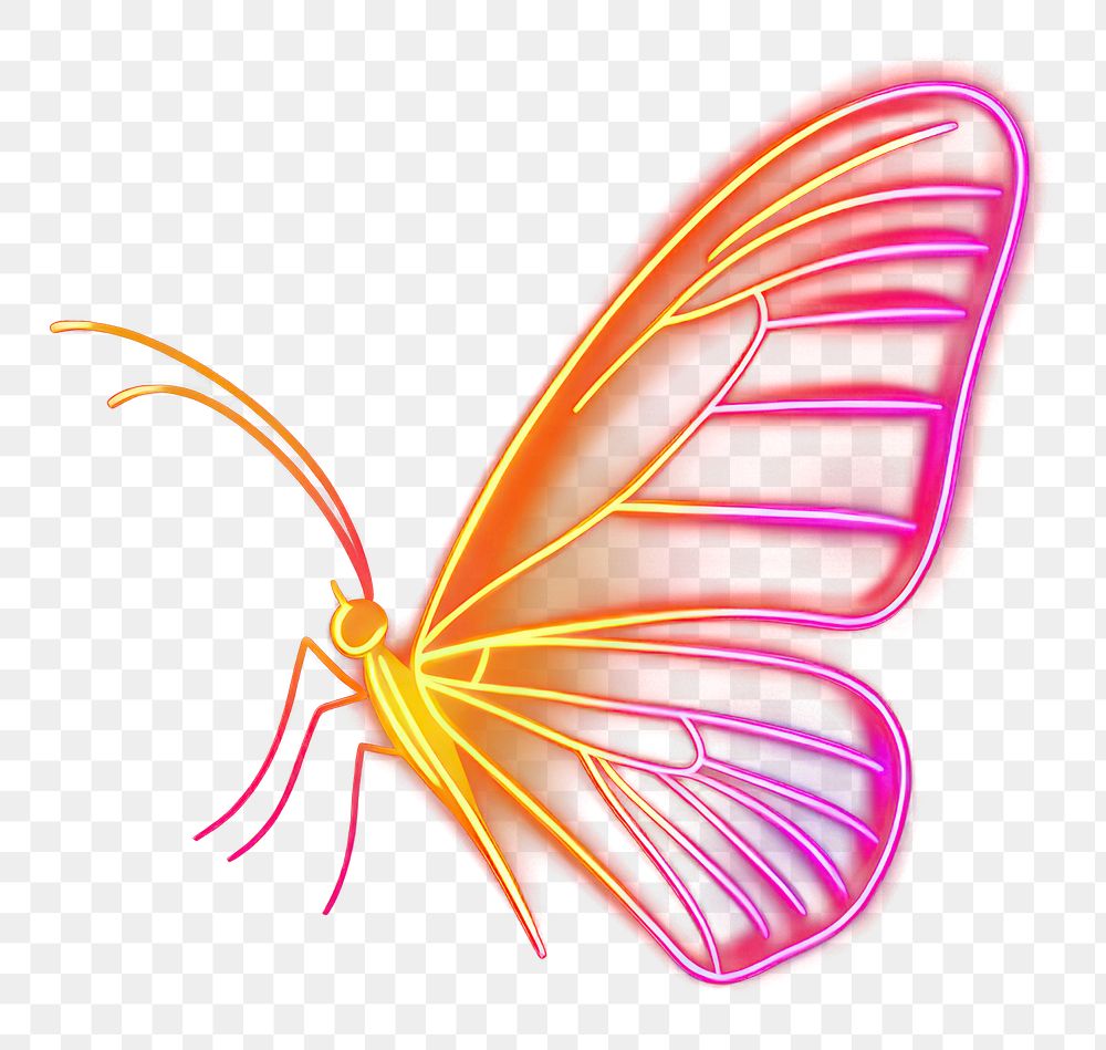 PNG Butterfly 1 wing neon illustration background.