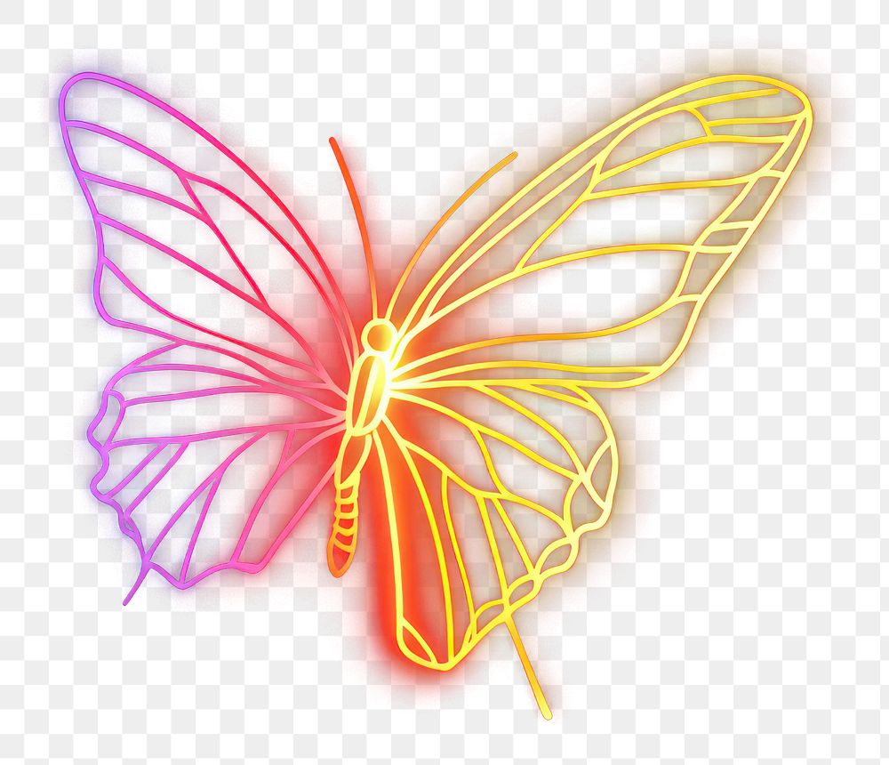 PNG Butterfly 1 wing illustration glowing light.