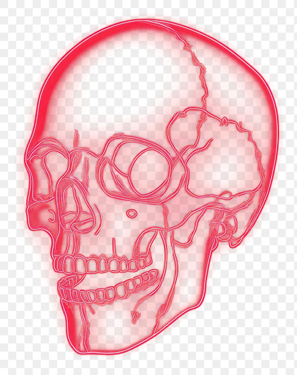 PNG Skull light illustration background.