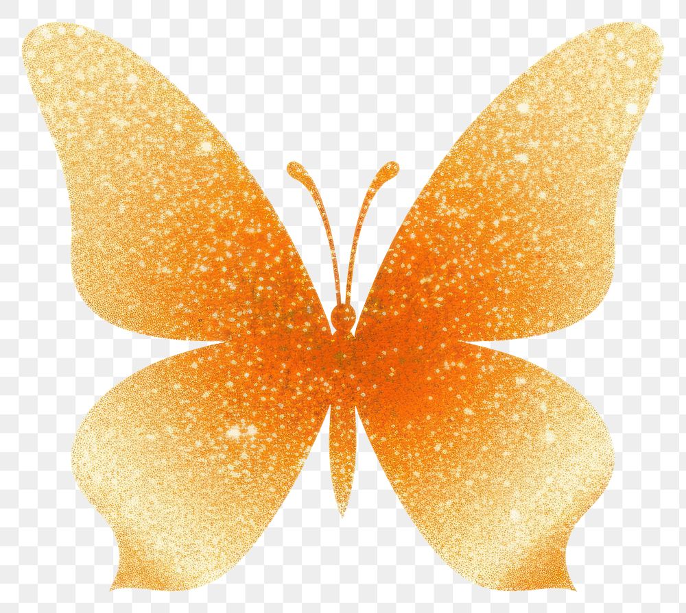 PNG Orange butterfly icon petal white background appliance.