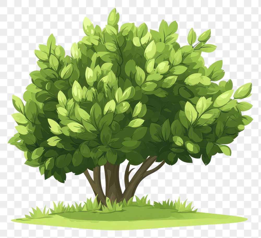 PNG Green bush trees art illustration nature.