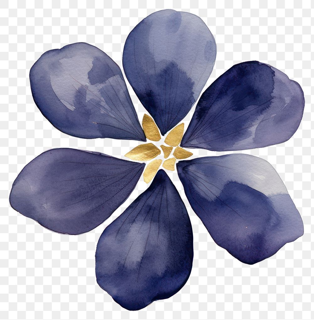 PNG Indigo floating petals watercolor painting flower.