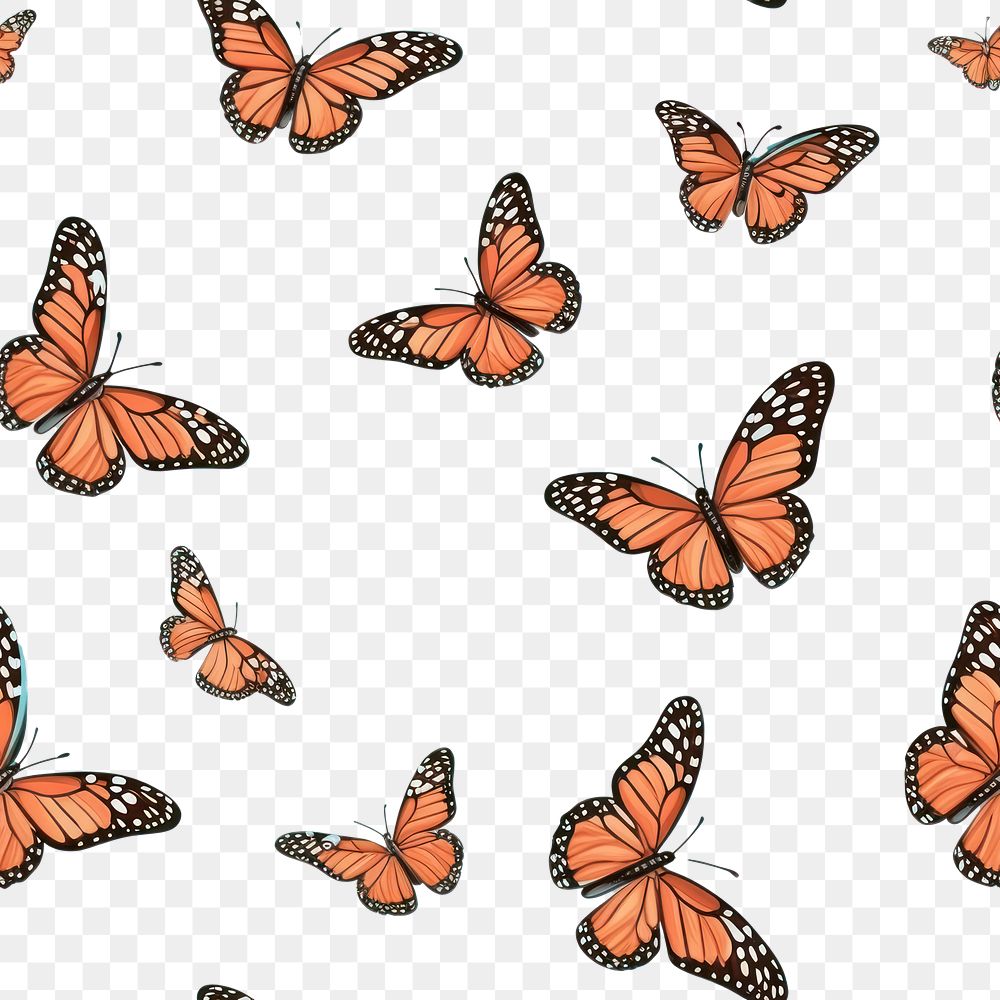 PNG Butterfly backgrounds animal sky. 