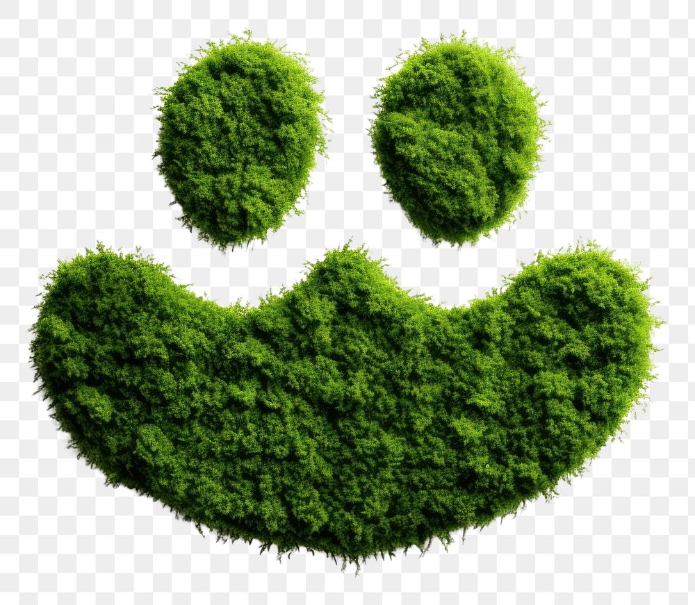 PNG Cat footprint icon plant green leaf.