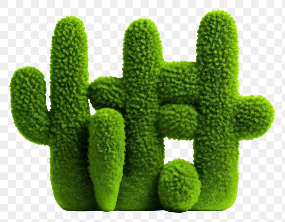 PNG Cactus plant green moss.