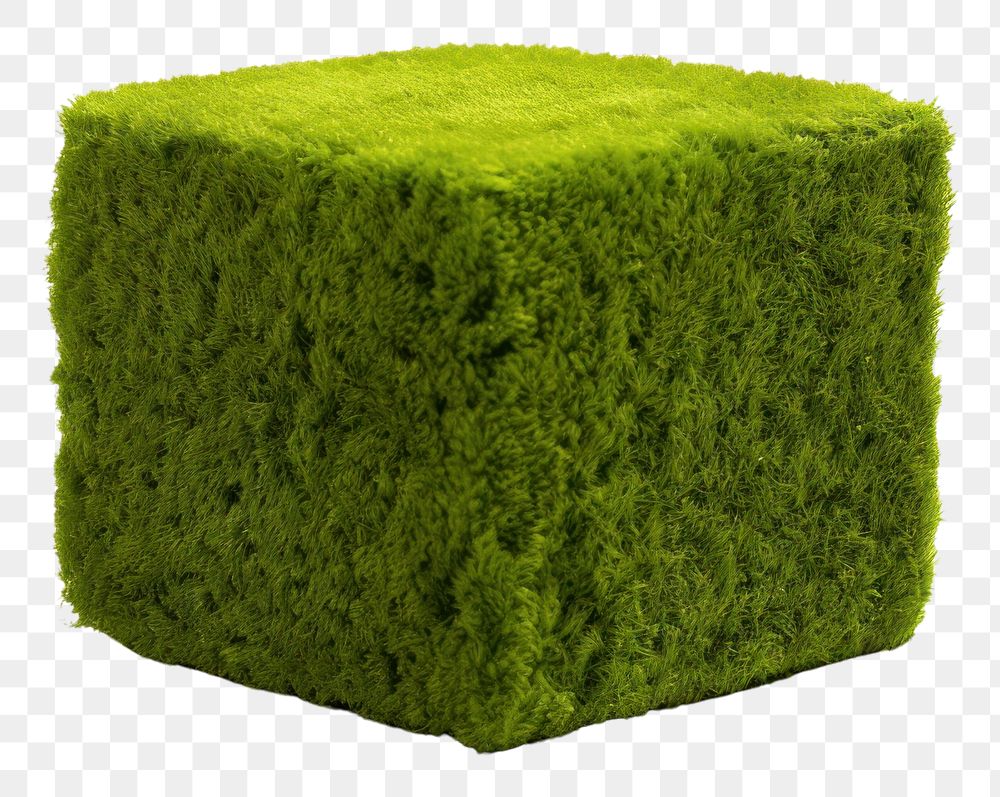 PNG Cube moss plant white background.
