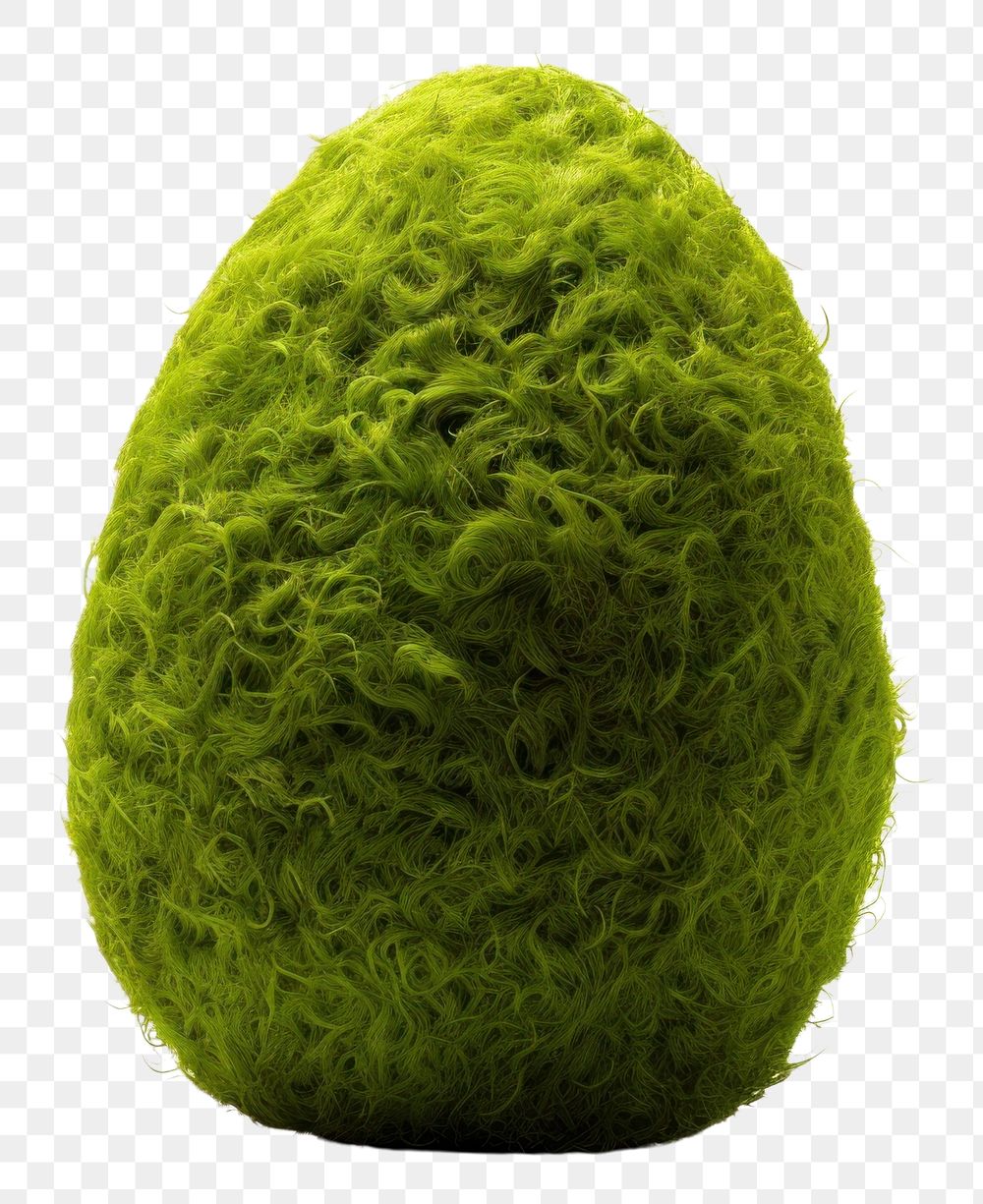 PNG Easter egg moss icon plant food white background.