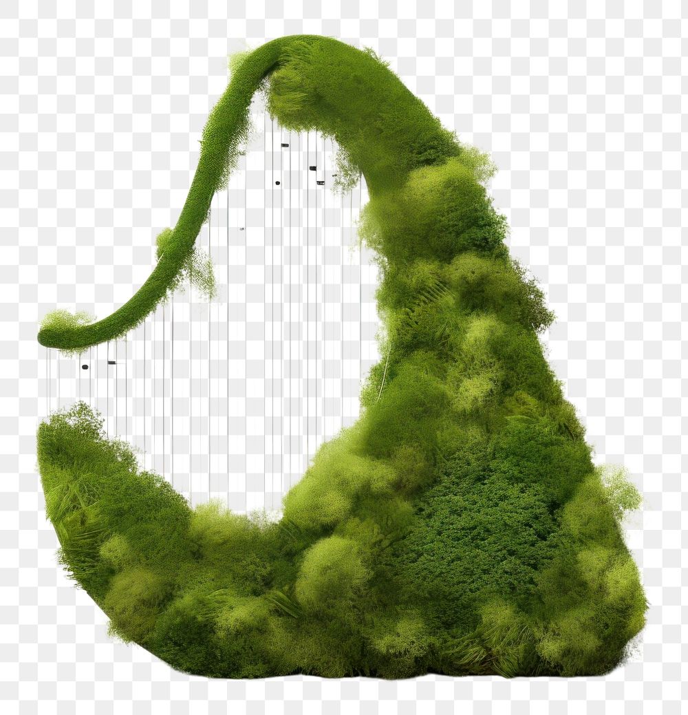 PNG Harp shape icon moss plant white background.
