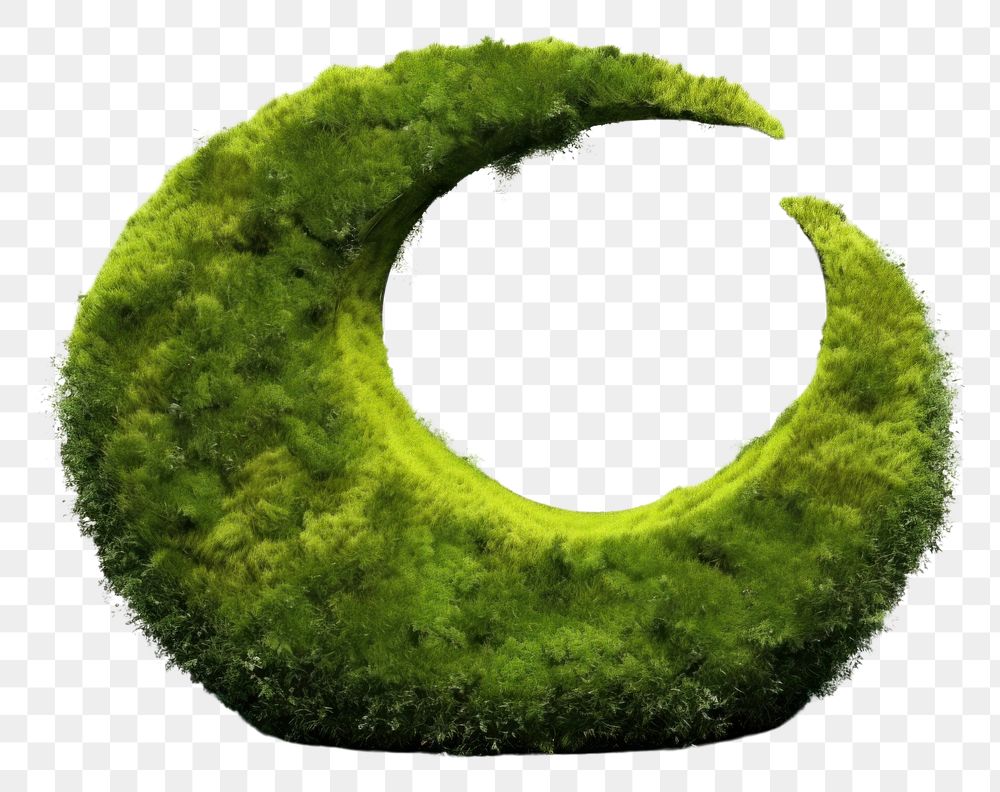 PNG  Moon icon moss plant white background. AI generated Image by rawpixel.