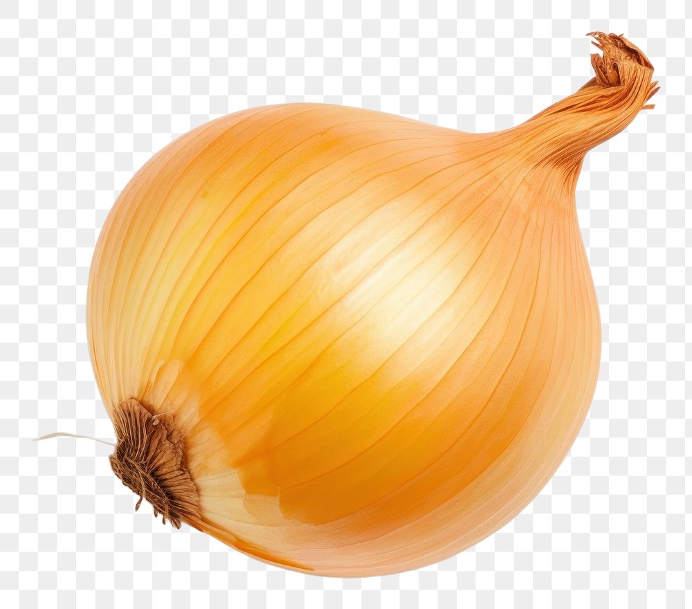 PNG Trained onion vegetable shallot plant. AI generated Image by rawpixel.