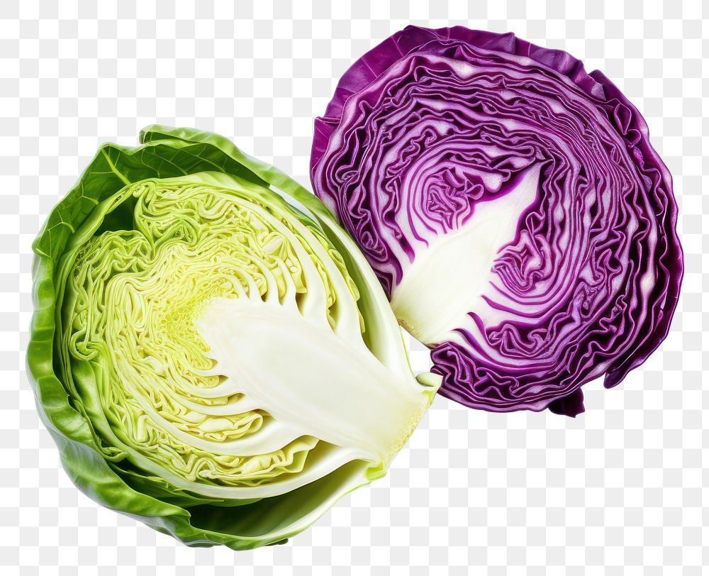 PNG Cabbage vegetable plant food. AI generated Image by rawpixel.