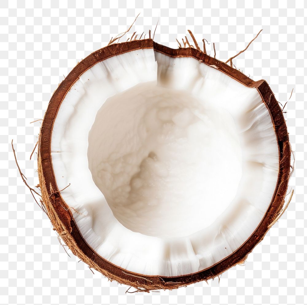PNG Coconut white background eggshell produce. AI generated Image by rawpixel.