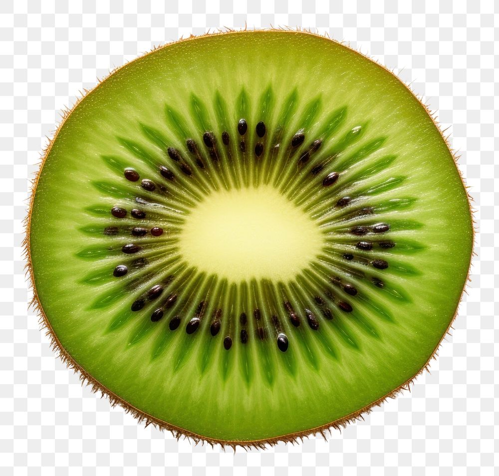 PNG Kiwi kiwi plant fruit. 