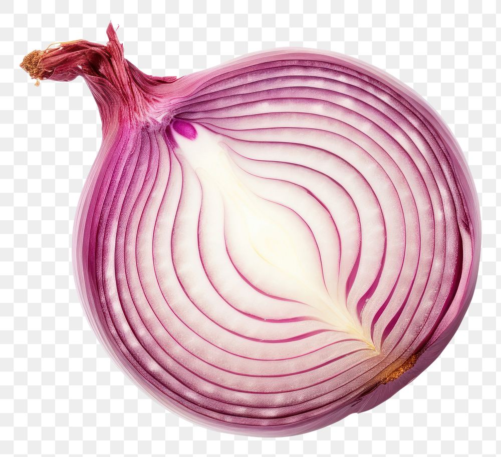 PNG Onion vegetable food white background