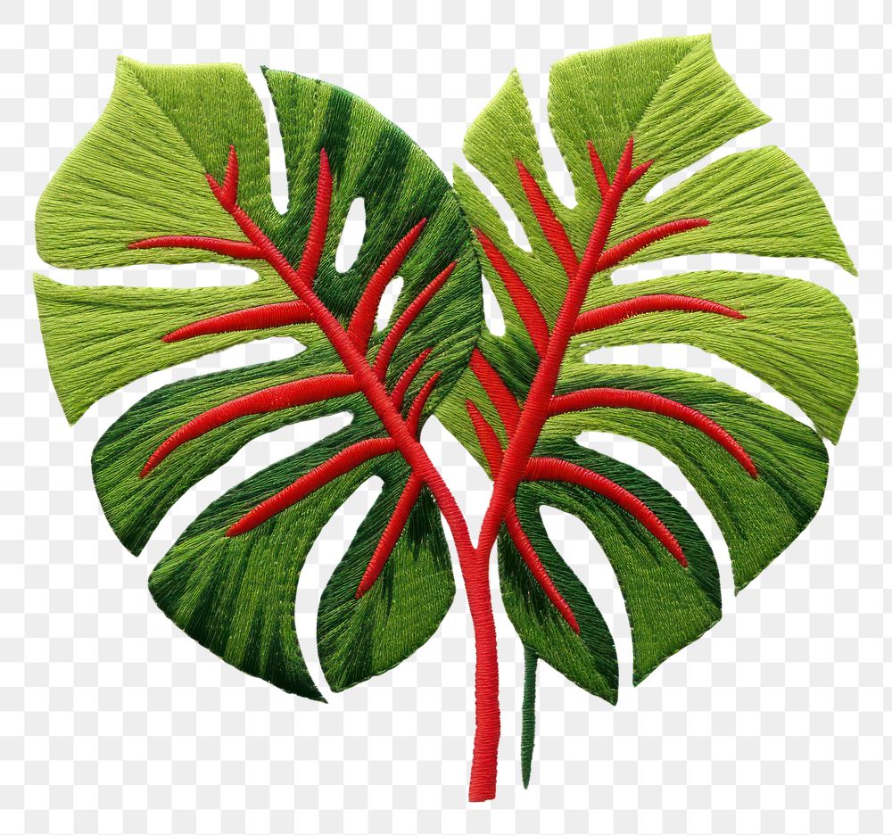 PNG  Monstera in embroidery style pattern plant leaf.