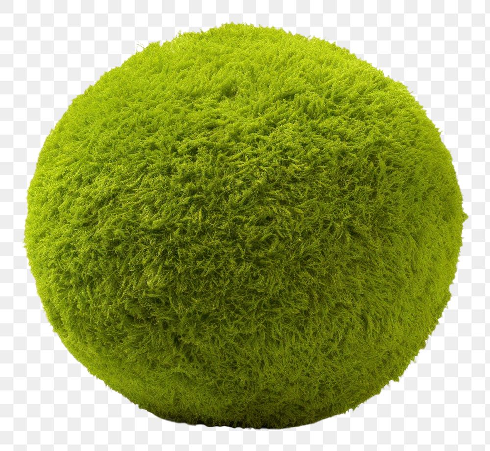 PNG  Circle ball sphere tennis plant. AI generated Image by rawpixel.