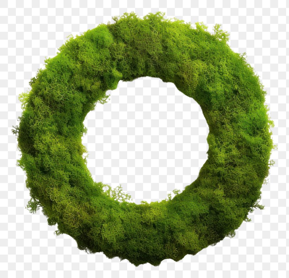 PNG  Circle nature wreath plant
