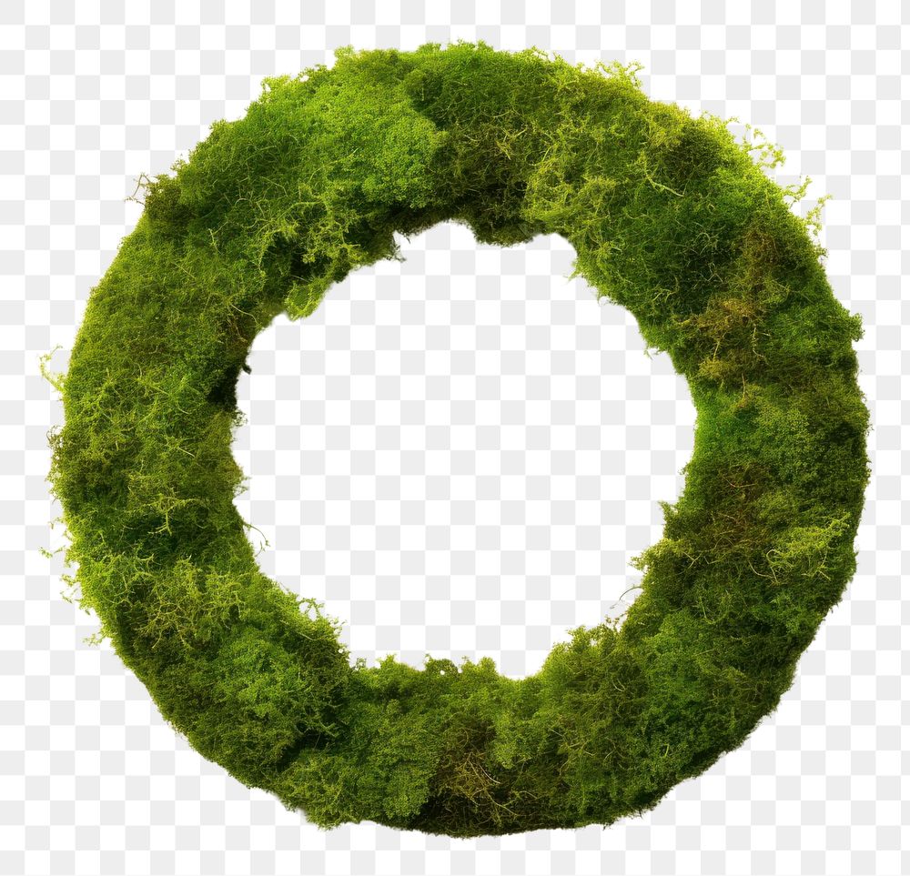 PNG  Circle moss nature wreath. AI generated Image by rawpixel.