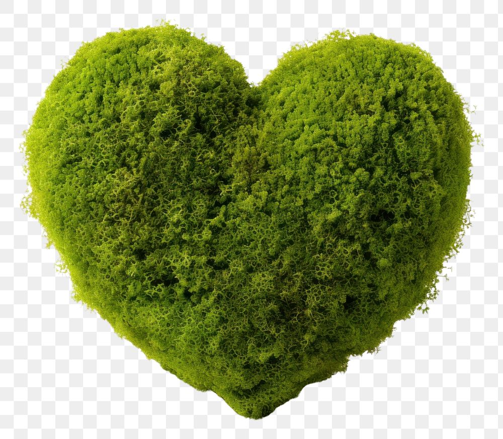 PNG  Heart ball plant moss white background. 