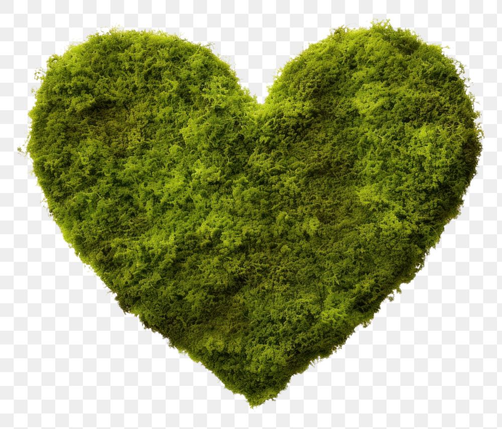 PNG  Heart shape moss plant white background. AI generated Image by rawpixel.