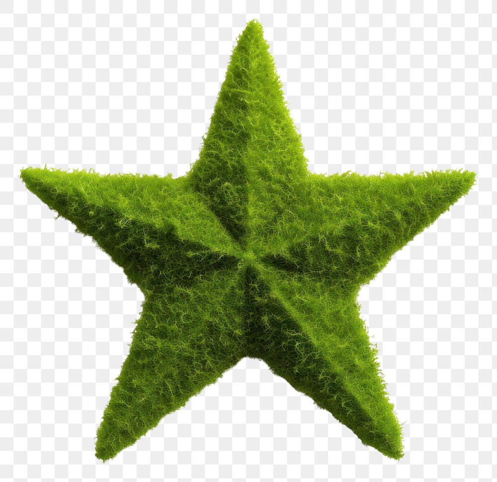 PNG Star shape green plant leaf. 