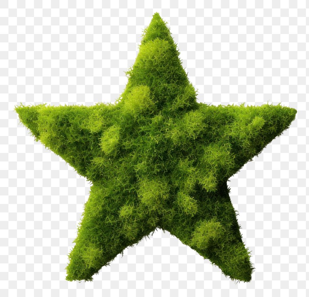 PNG  Star shape moss plant green. AI generated Image by rawpixel.