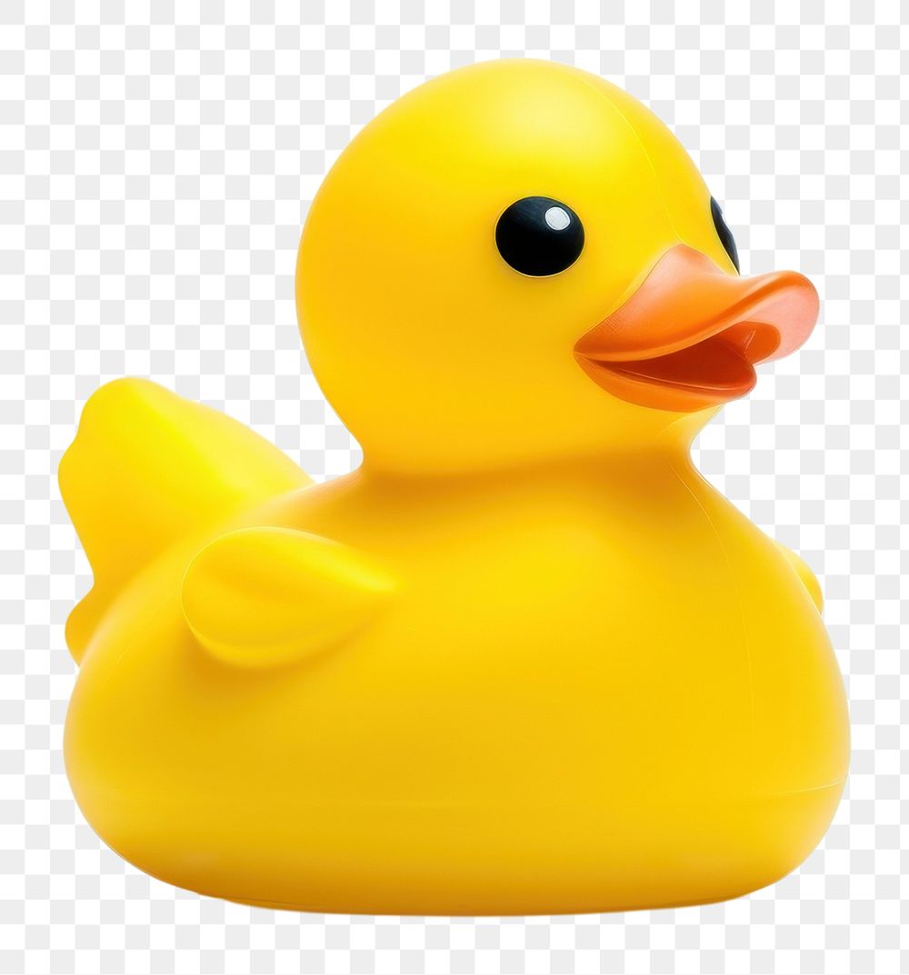PNG  Rubber duck animal nature bird. 