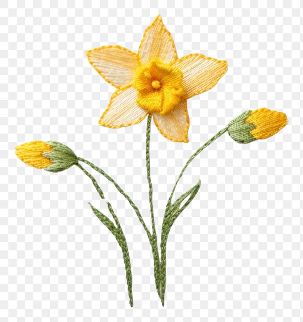PNG Embroidery of daffodil flower stitch plant.