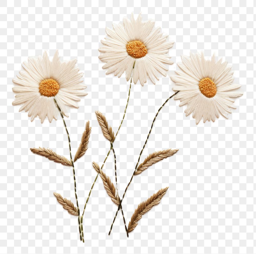PNG Embroidery of daisy flower plant white.