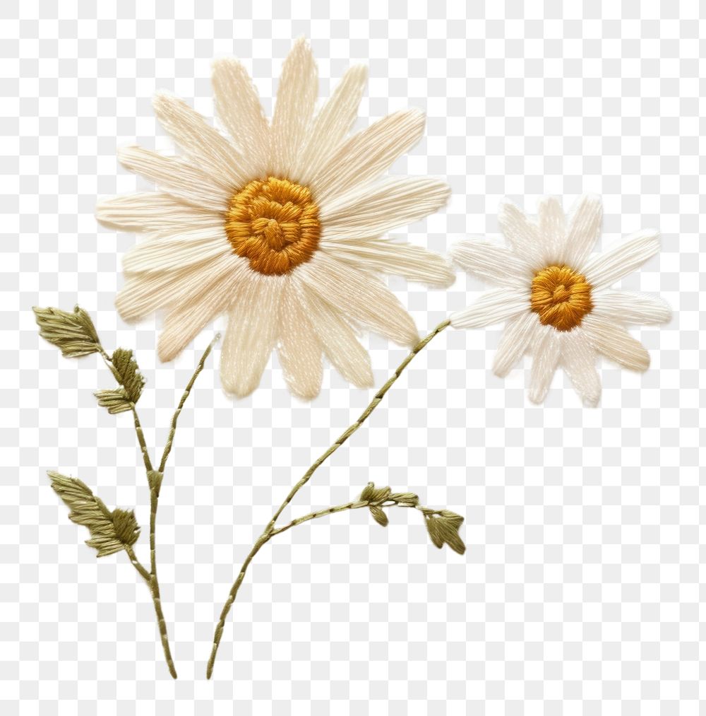 PNG Embroidery of daisy flower plant white.