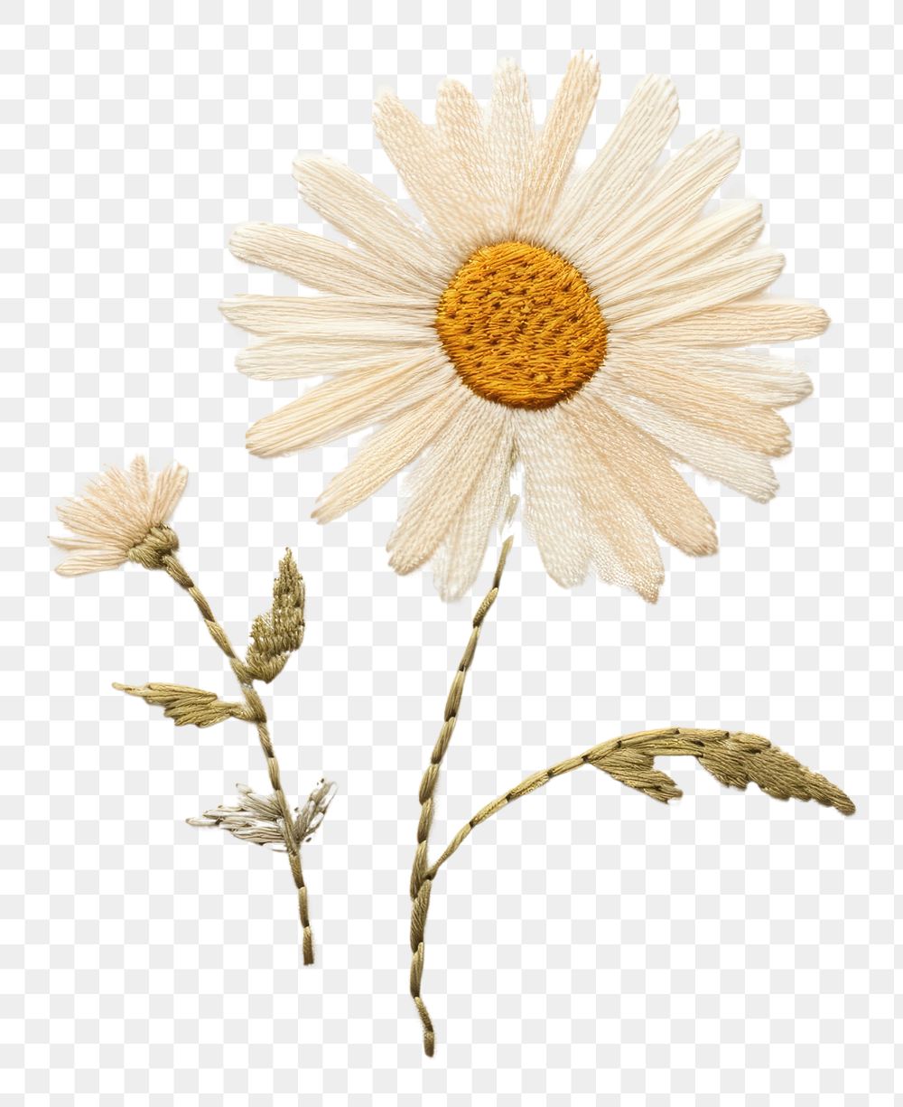 PNG Embroidery of daisy pattern flower plant.