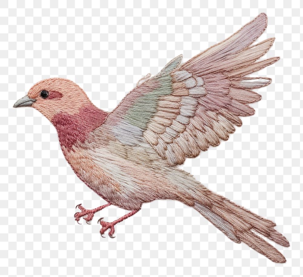 PNG Embroidery of dove drawing animal sketch.
