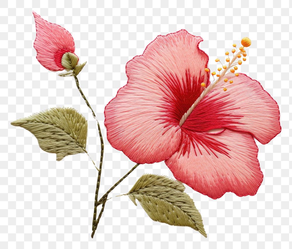 PNG Embroidery of hibiscus flower plant inflorescence.