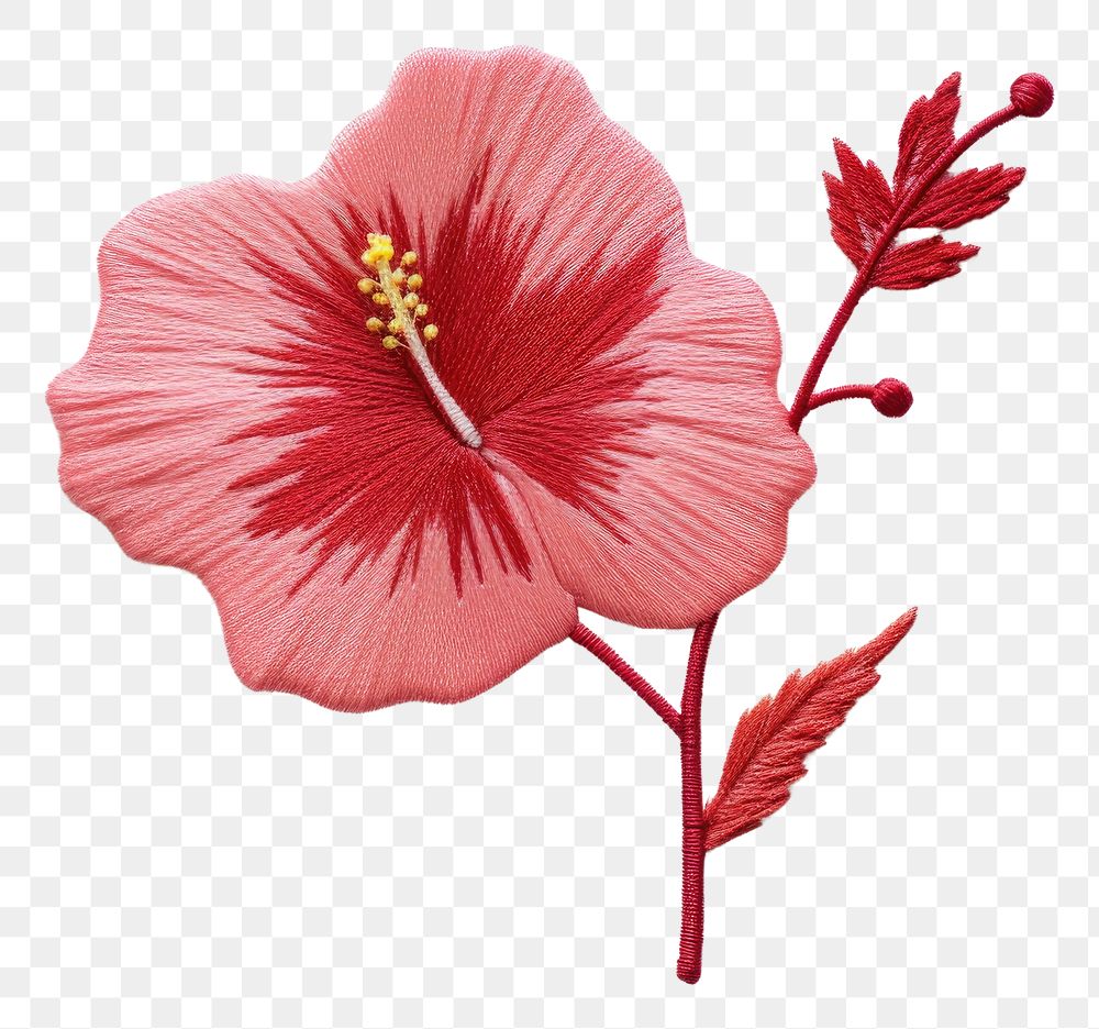 PNG Embroidery of hibiscus flower petal plant.